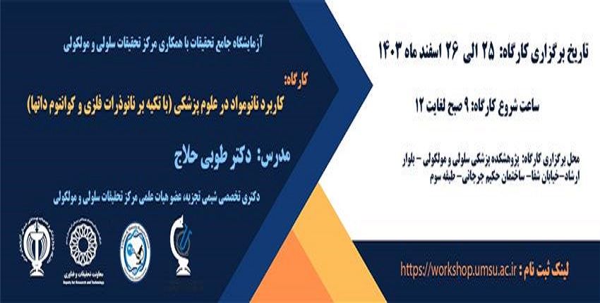 کارگاه تخصصی کاربرد نانومواد در علوم پزشکی