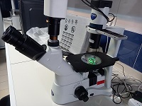 میکروسکوپ معکوس